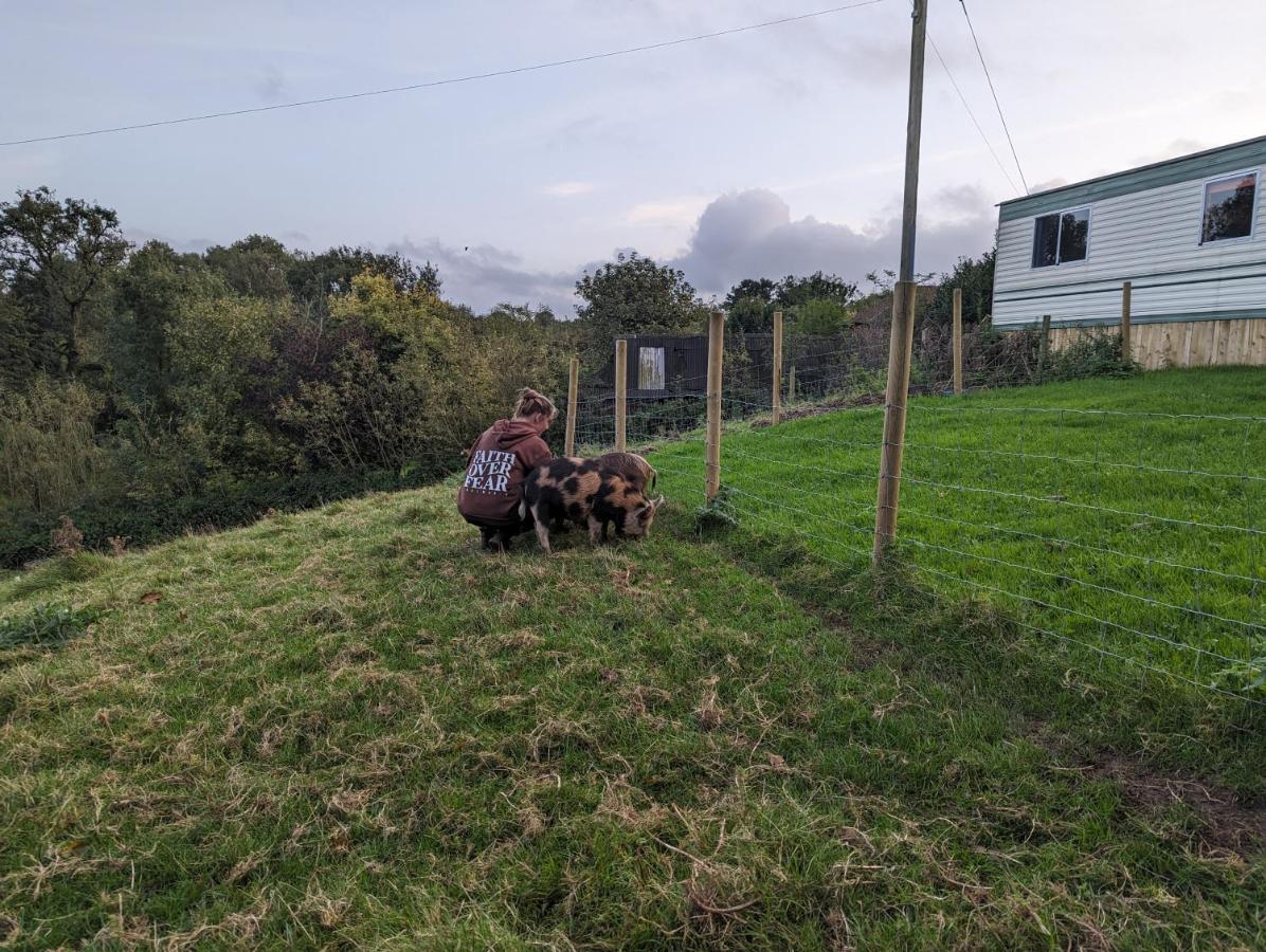 הוילה Witheridge The Piggery מראה חיצוני תמונה